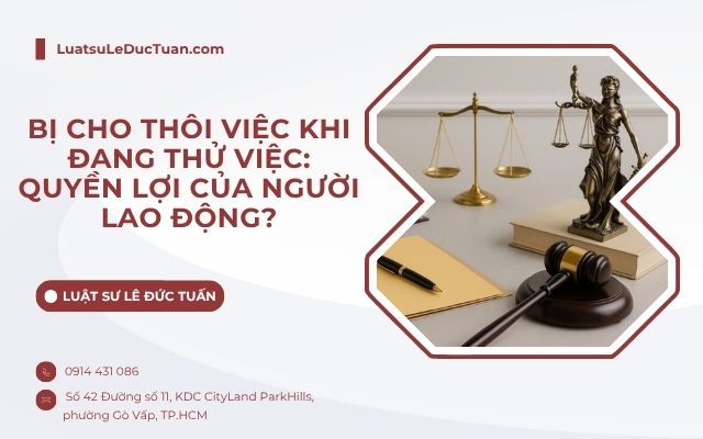 Bị cho thôi việc khi đang thử việc: Quyền lợi của người lao động?