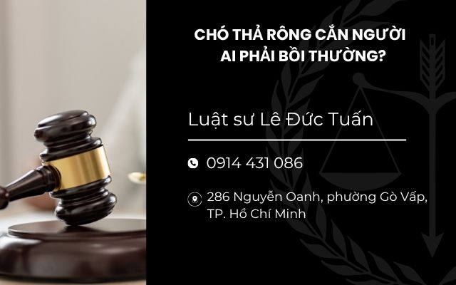 CHÓ THẢ RÔNG CẮN NGƯỜI - AI PHẢI BỒI THƯỜNG?