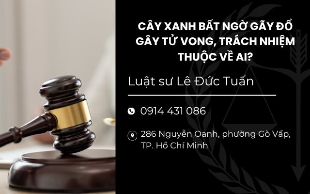 Cây xanh bất ngờ gãy đổ gây tử vong, trách nhiệm thuộc về ai?
